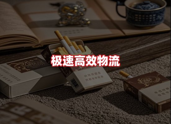专业团队